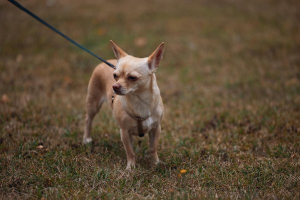 Optimale Trainingsstrategien für Langstreckenradfahrer: So gestalten Sie Ihre Routine effektiv!